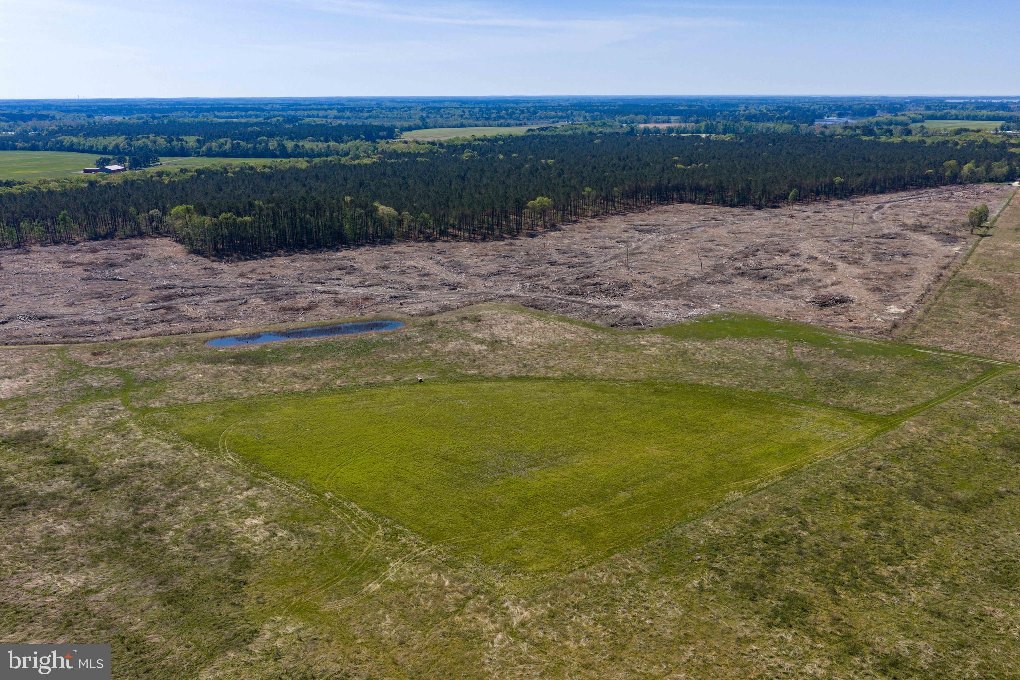 0 Colona Road Pocomoke City, MD 21851 - Photo 15 of 25