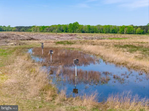 $1,650,000 | 0 Colona Road, Pocomoke City, MD 21851