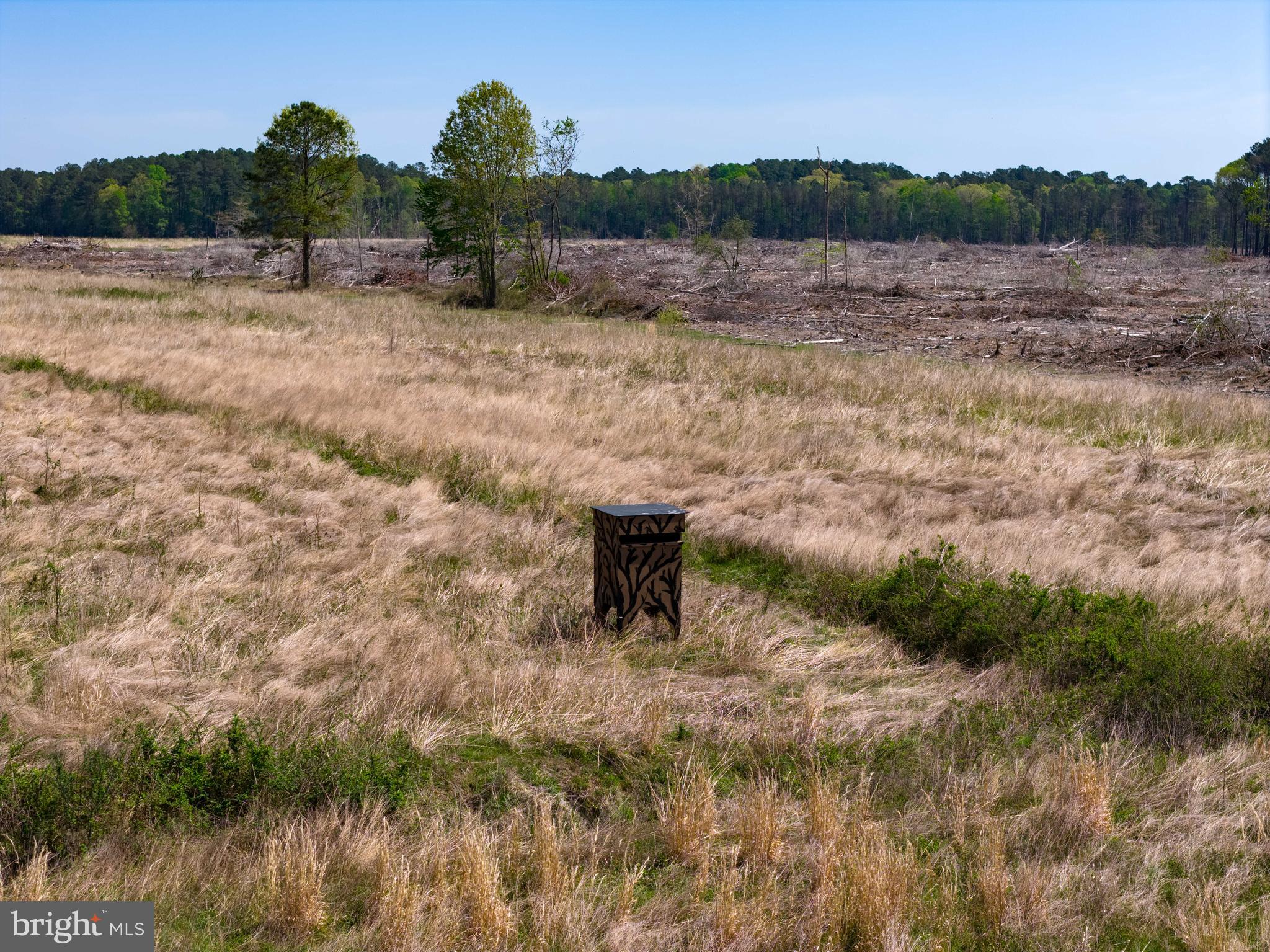 0 Colona Road Pocomoke City, MD 21851 - Photo 20 of 25