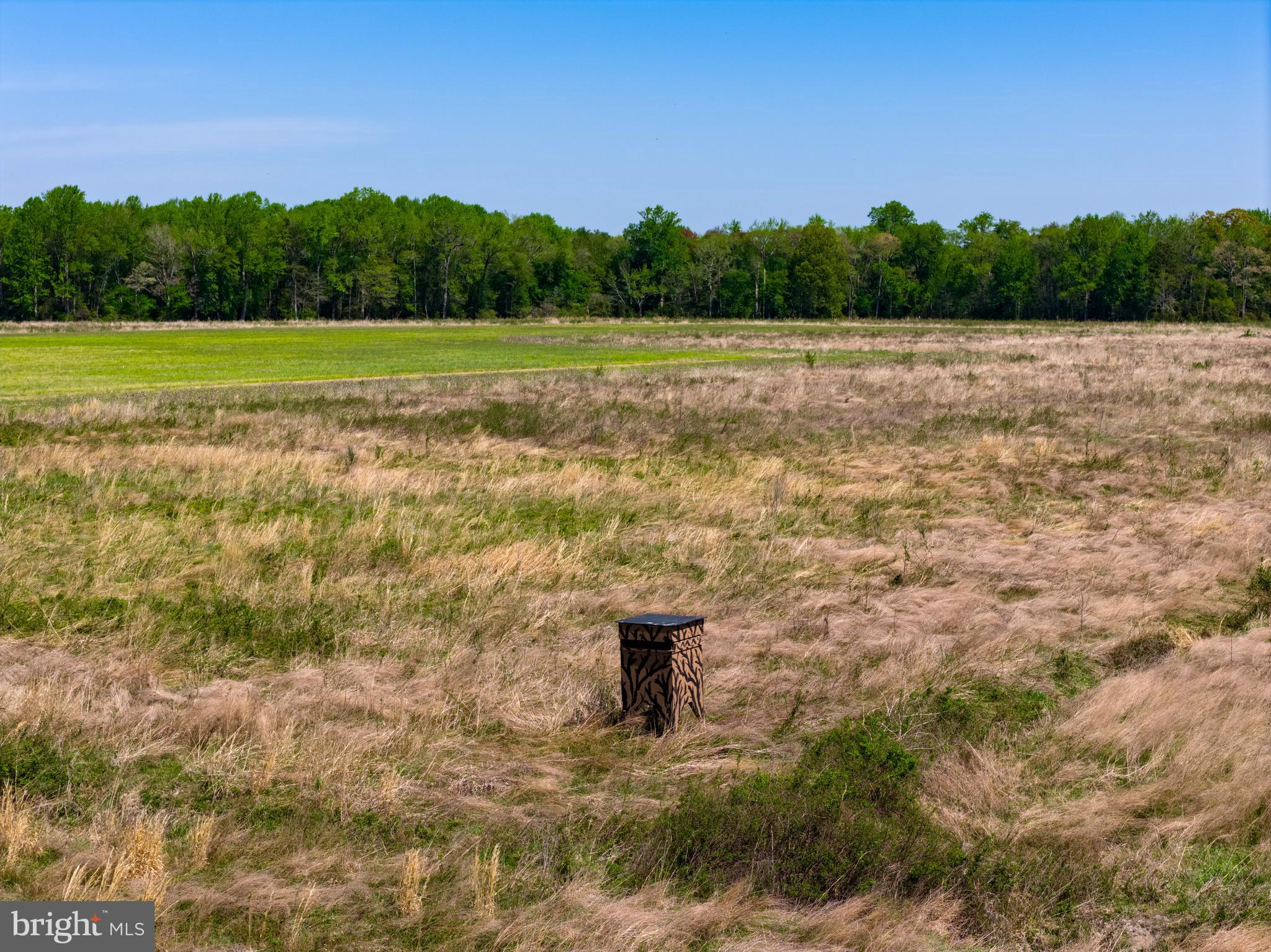 0 Colona Road Pocomoke City, MD 21851 - Photo 21 of 25