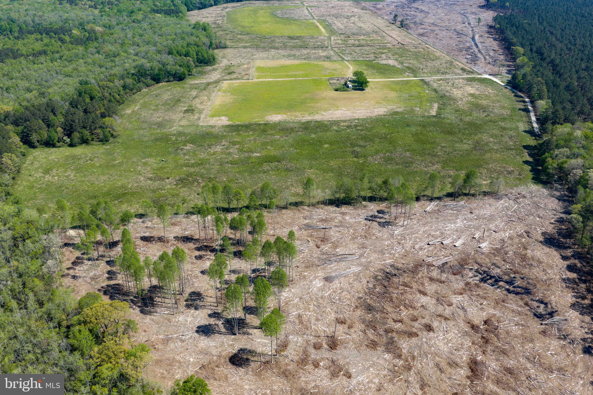 0 Colona Road Pocomoke City, MD 21851 - Photo 7 of 25