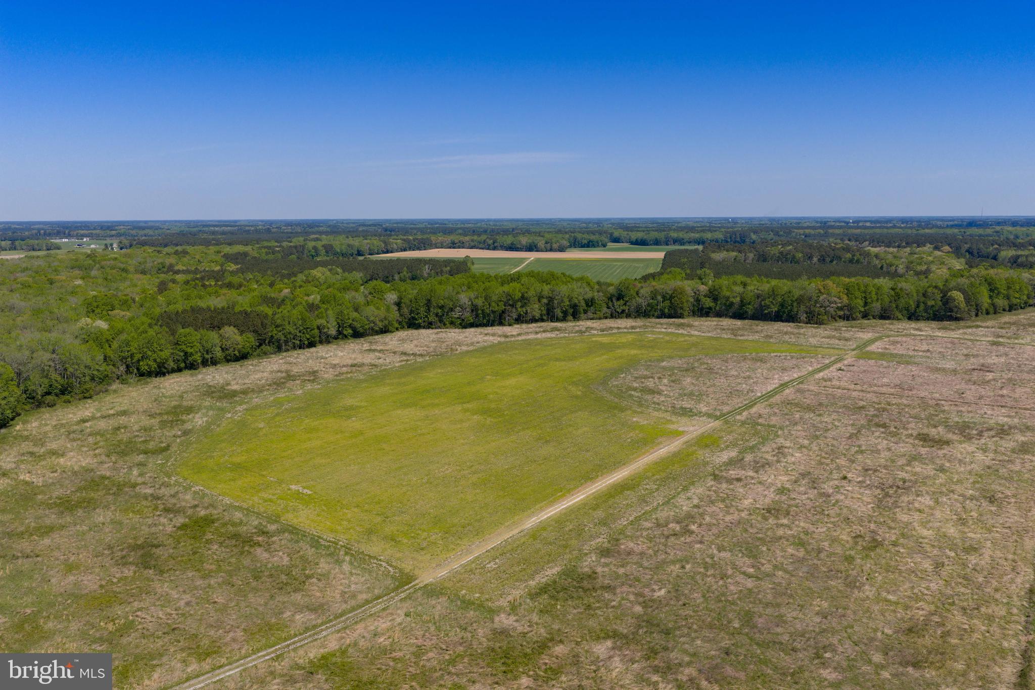 0 Colona Road Pocomoke City, MD 21851 - Photo 8 of 25