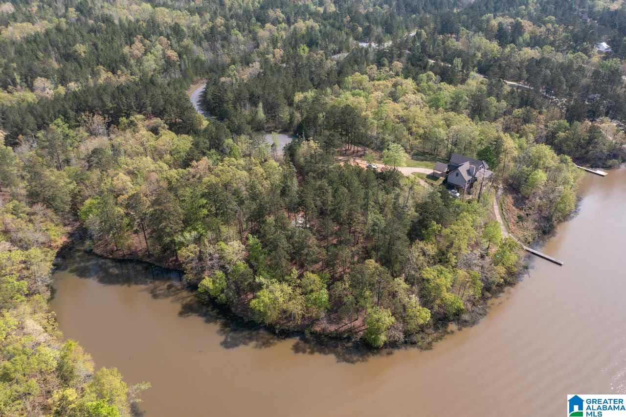 Stillwaters Trail Sylacauga, AL 35151 - Photo 7 of 30