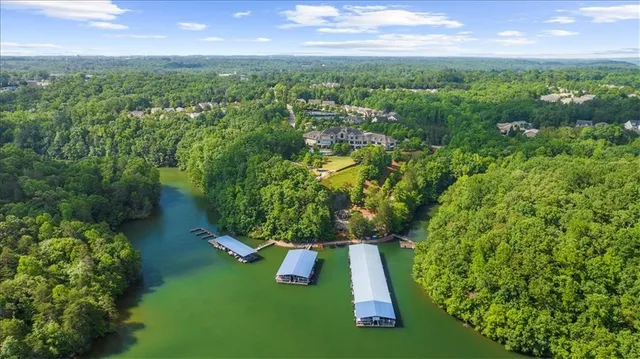 a view of a garden with an outdoor space