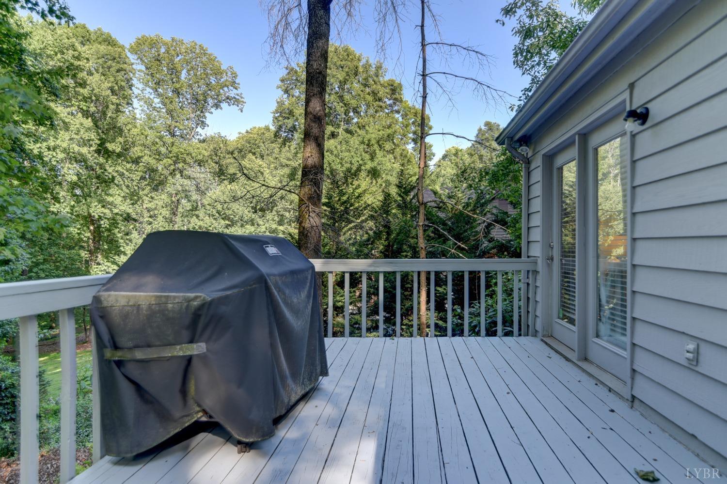 306 Cameron Road Forest, VA 24551 - Photo 11 of 55 Gallery Image 11
