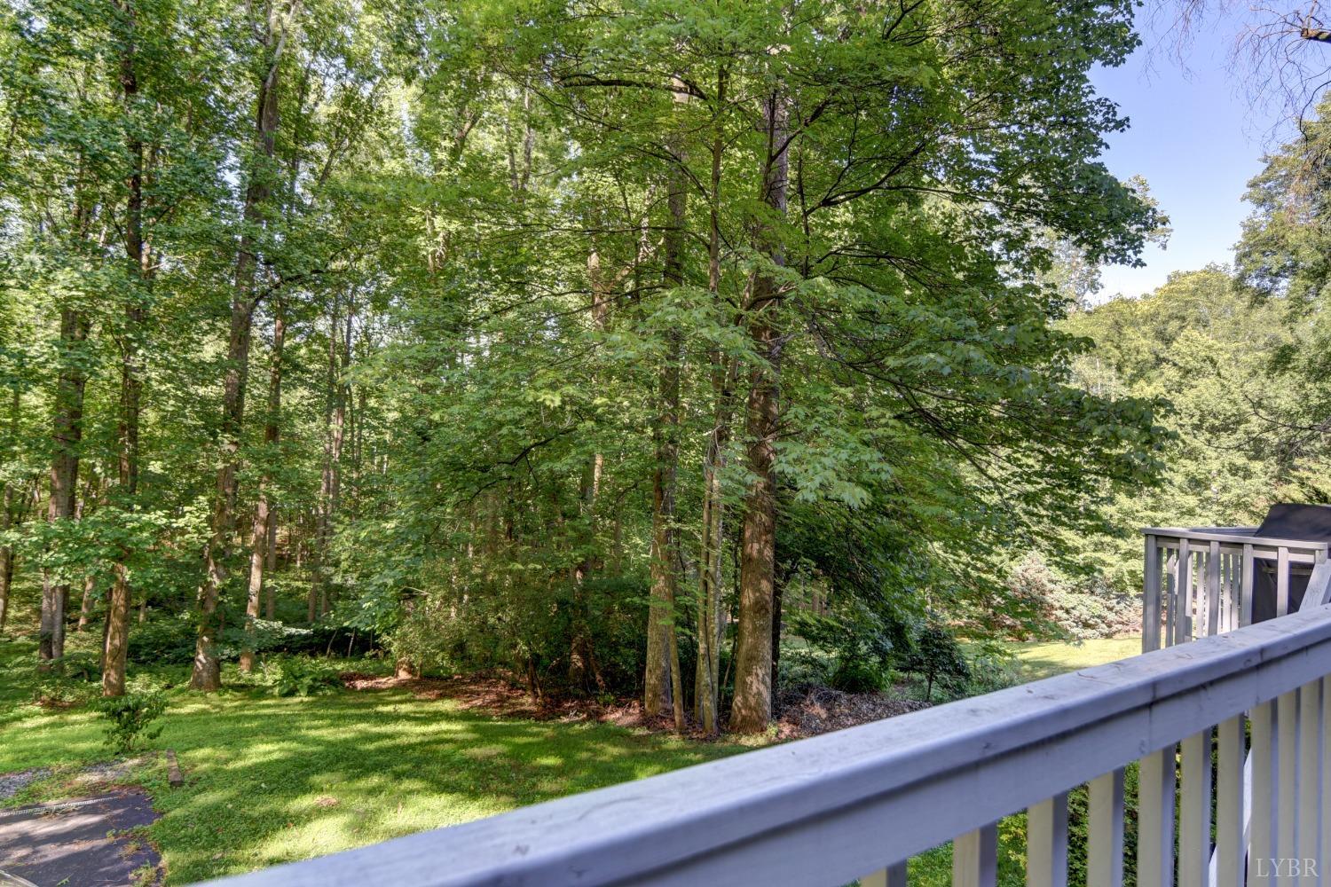 306 Cameron Road Forest, VA 24551 - Photo 28 of 55 Gallery Image 28