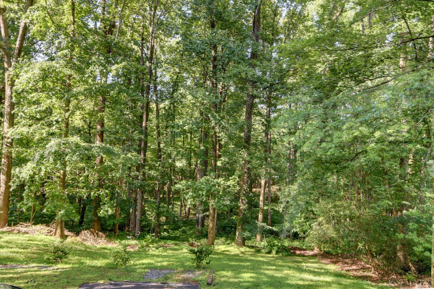 306 Cameron Road Forest, VA 24551 - Photo 29 of 55 Gallery Image 29