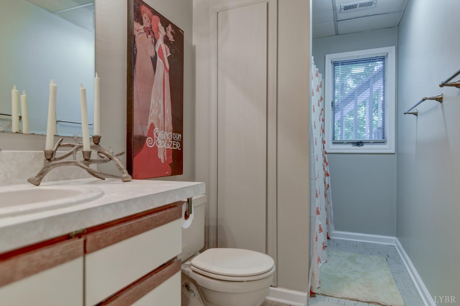 306 Cameron Road Forest, VA 24551 - Photo 40 of 55 Gallery Image 40