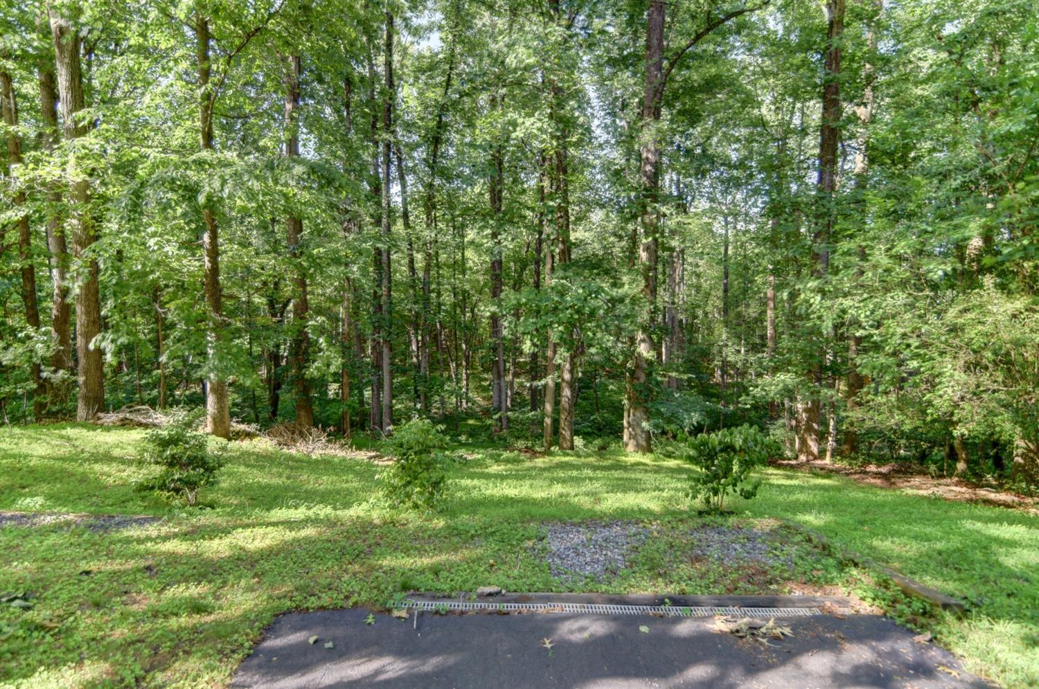 306 Cameron Road Forest, VA 24551 - Photo 47 of 55 Gallery Image 47