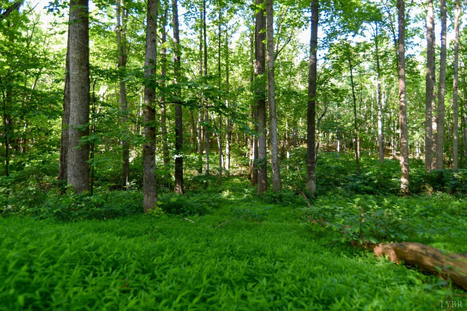 306 Cameron Road Forest, VA 24551 - Photo 48 of 55 Gallery Image 48