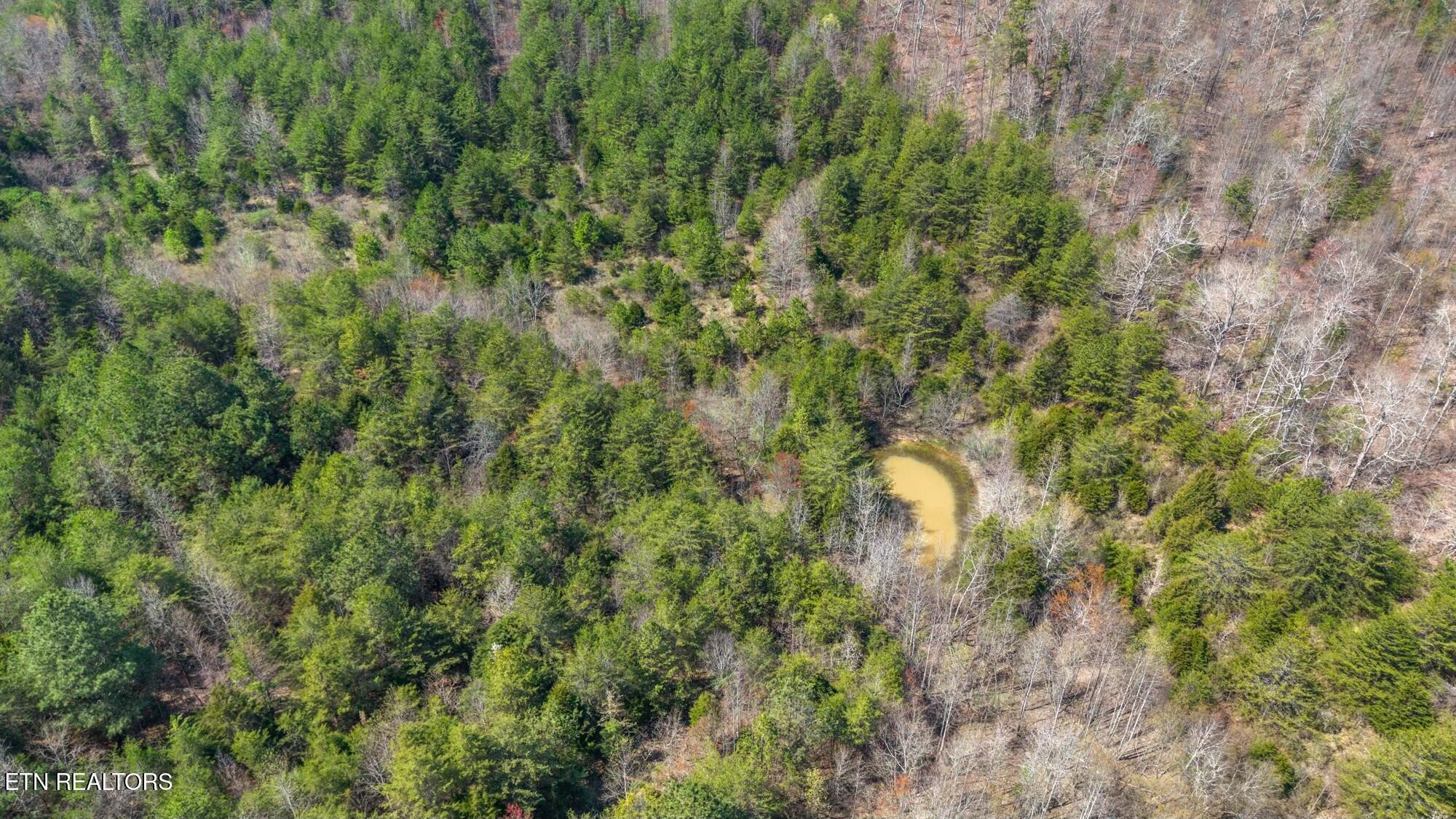 0 Southwest Harrison Pike McDonald, TN 37353 - Photo 13 of 26