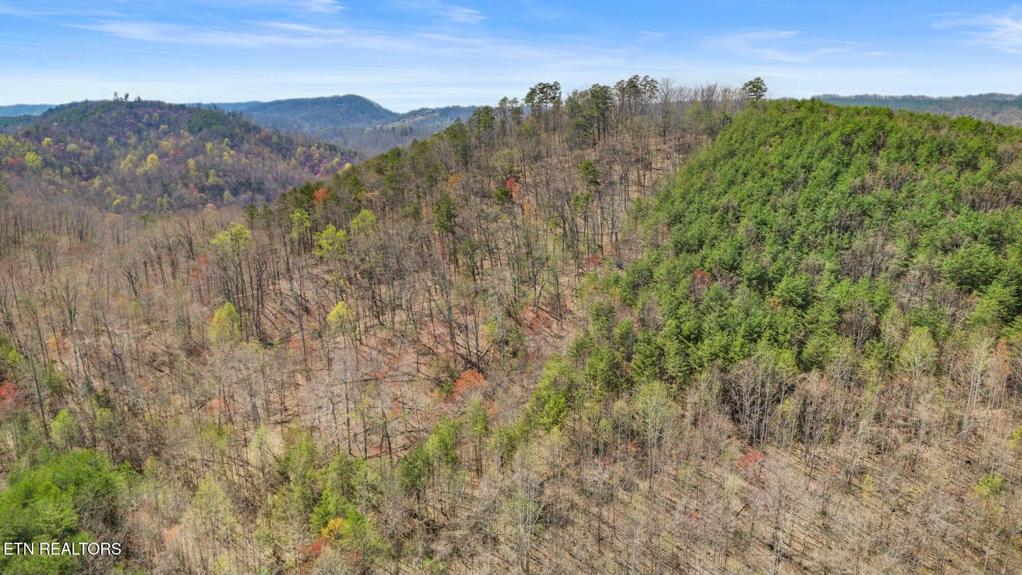 0 Southwest Harrison Pike McDonald, TN 37353 - Photo 17 of 26