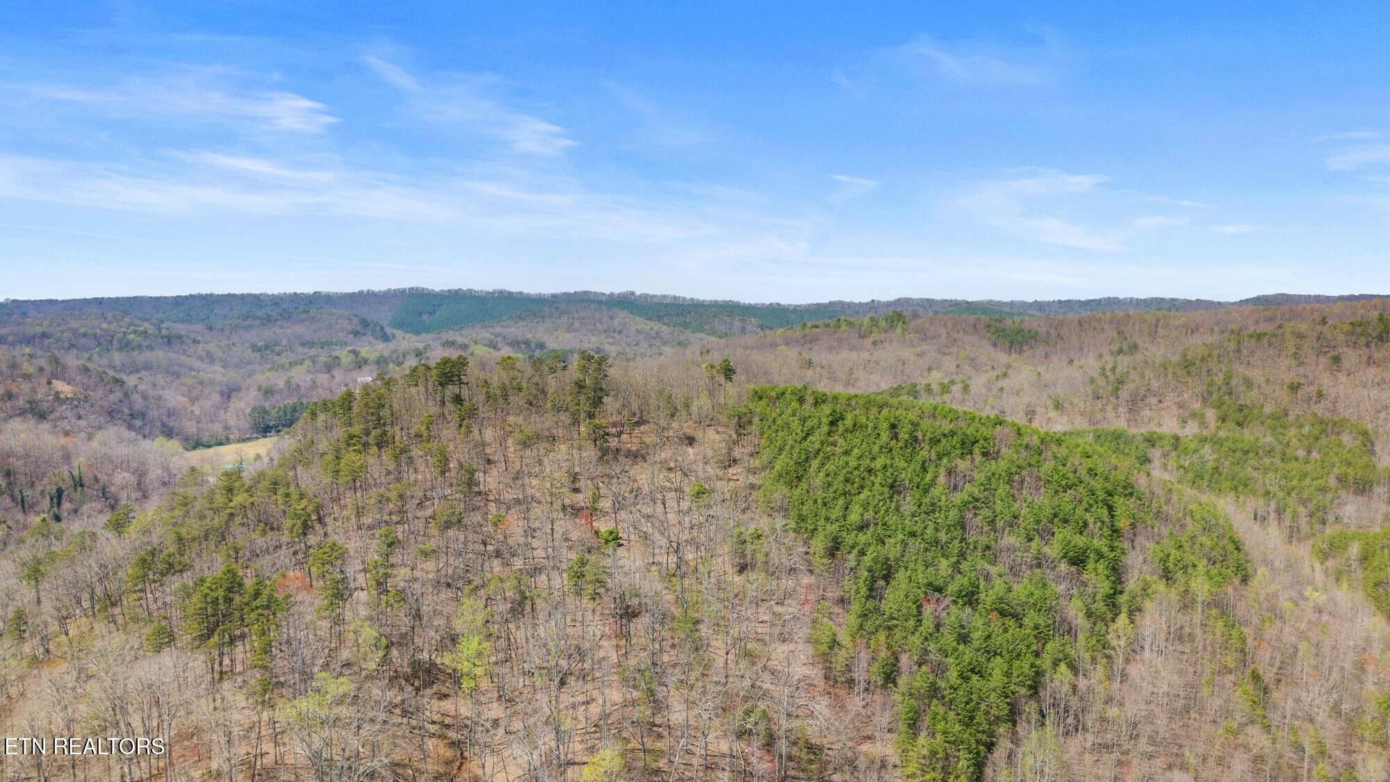 0 Southwest Harrison Pike McDonald, TN 37353 - Photo 3 of 26