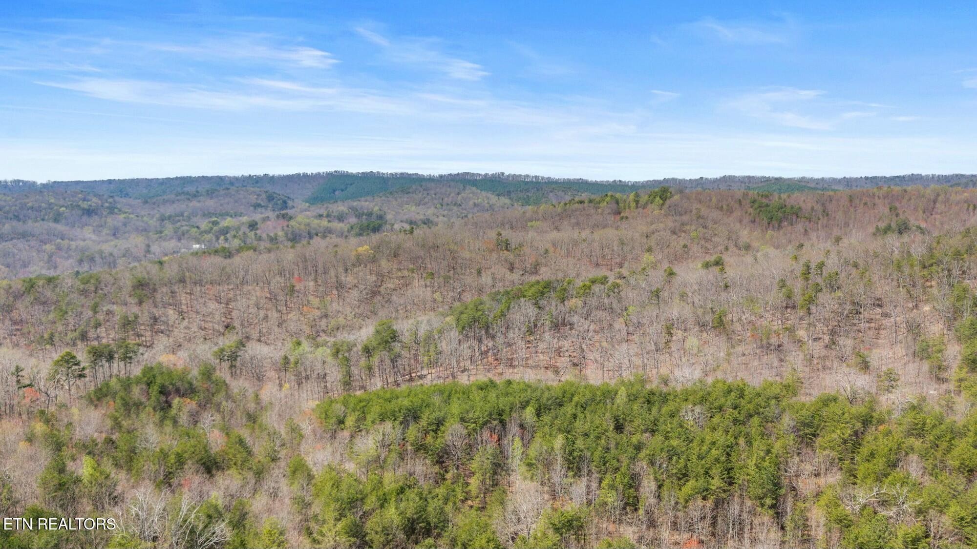 0 Southwest Harrison Pike McDonald, TN 37353 - Photo 4 of 26
