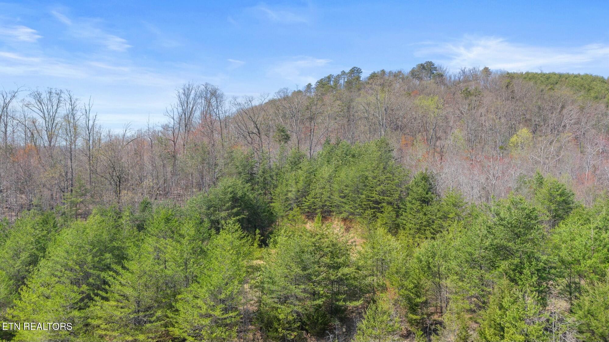 0 Southwest Harrison Pike McDonald, TN 37353 - Photo 6 of 26