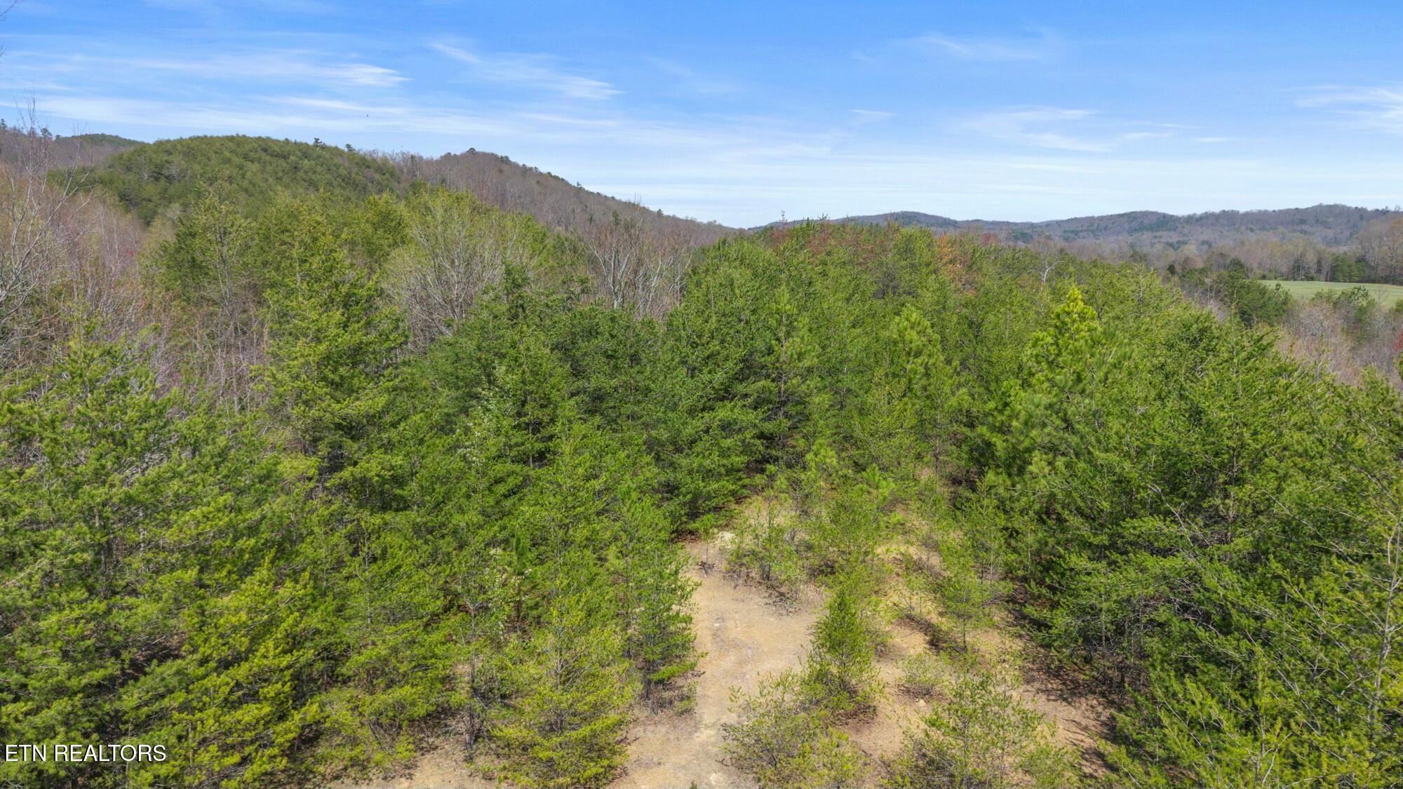 0 Southwest Harrison Pike McDonald, TN 37353 - Photo 7 of 26