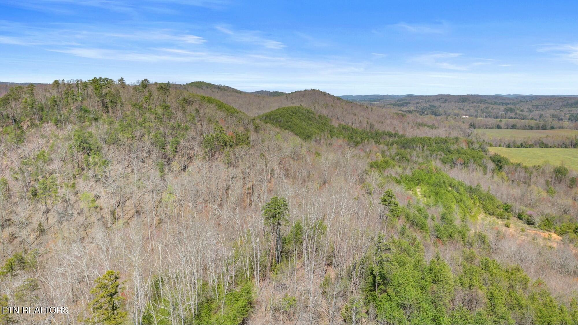 0 Southwest Harrison Pike McDonald, TN 37353 - Photo 9 of 26
