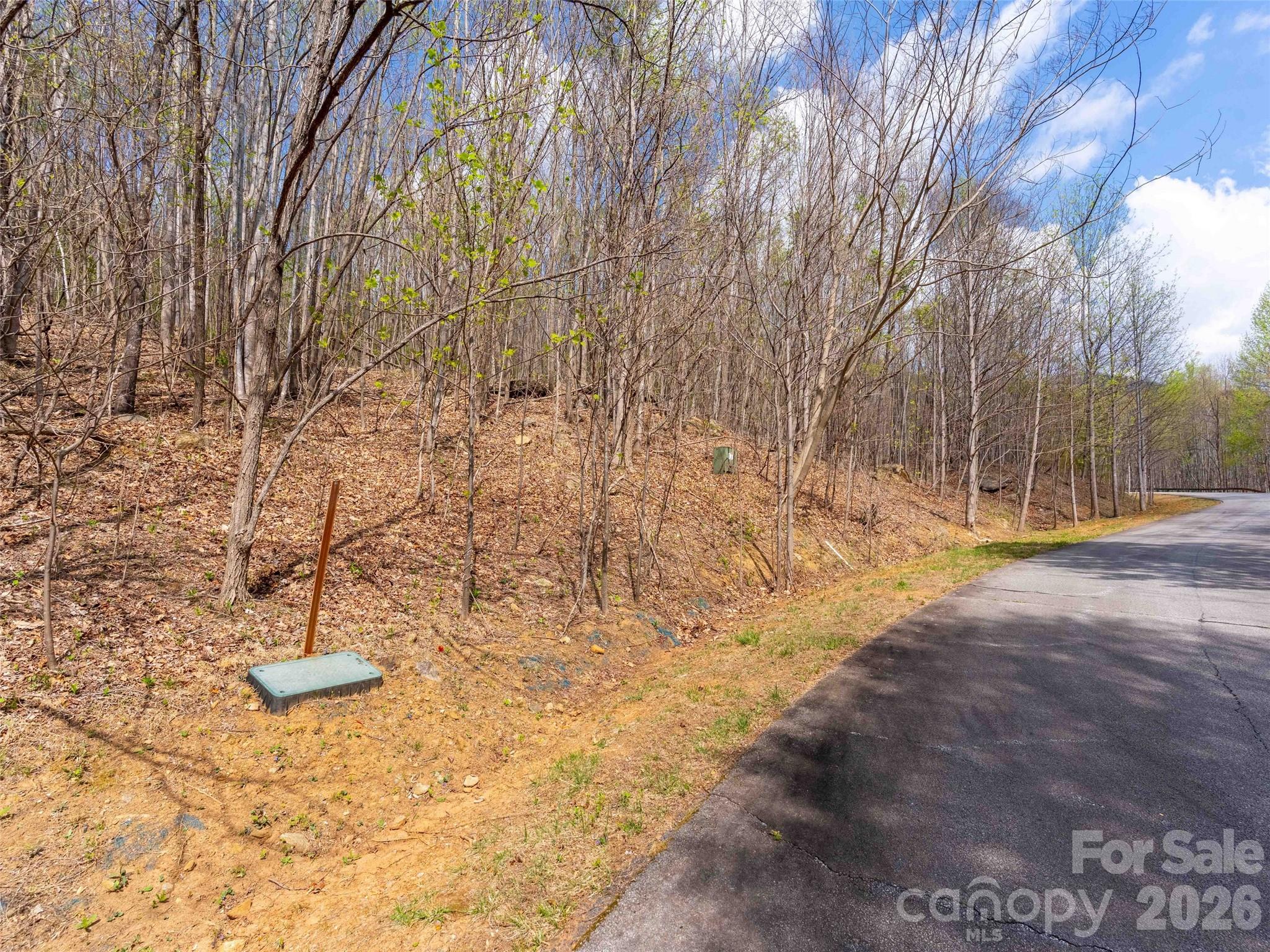 Lot 196 Cherry Hill Mill Spring, Unit 196 Mill Spring, NC 28756 - Photo 1 of 18