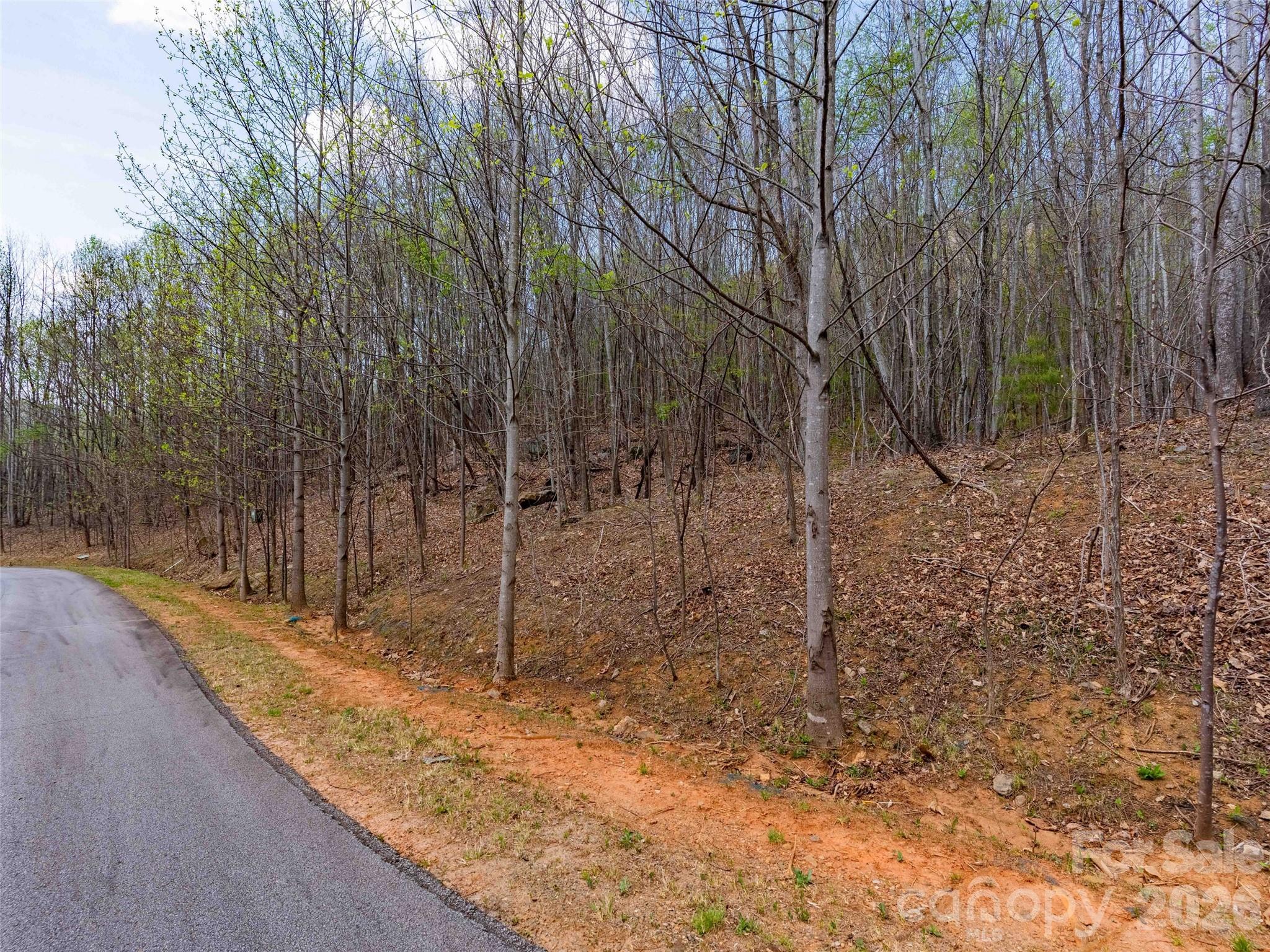 Lot 196 Cherry Hill Mill Spring, Unit 196 Mill Spring, NC 28756 - Photo 11 of 18