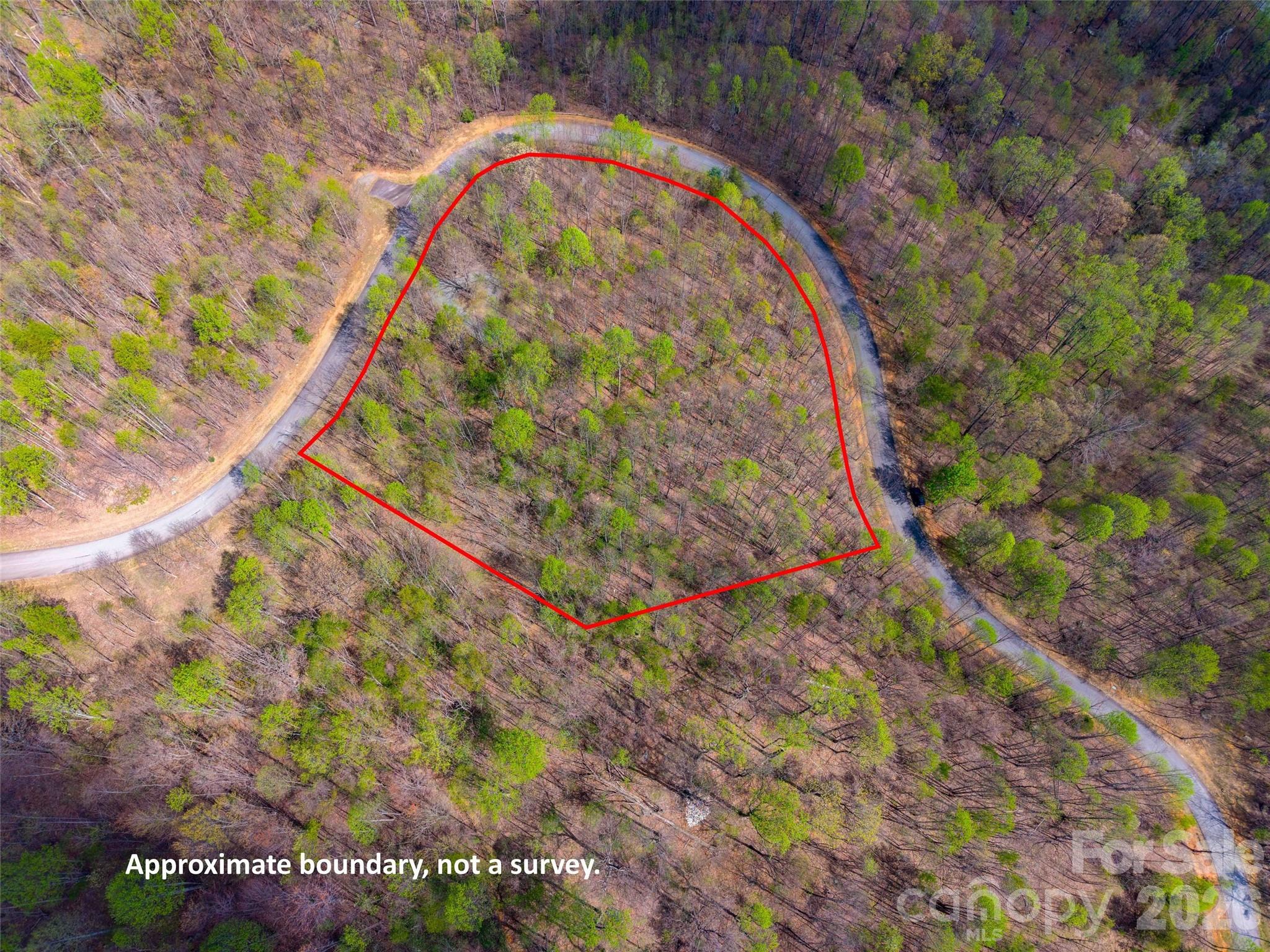 Lot 196 Cherry Hill Mill Spring, Unit 196 Mill Spring, NC 28756 - Photo 12 of 18