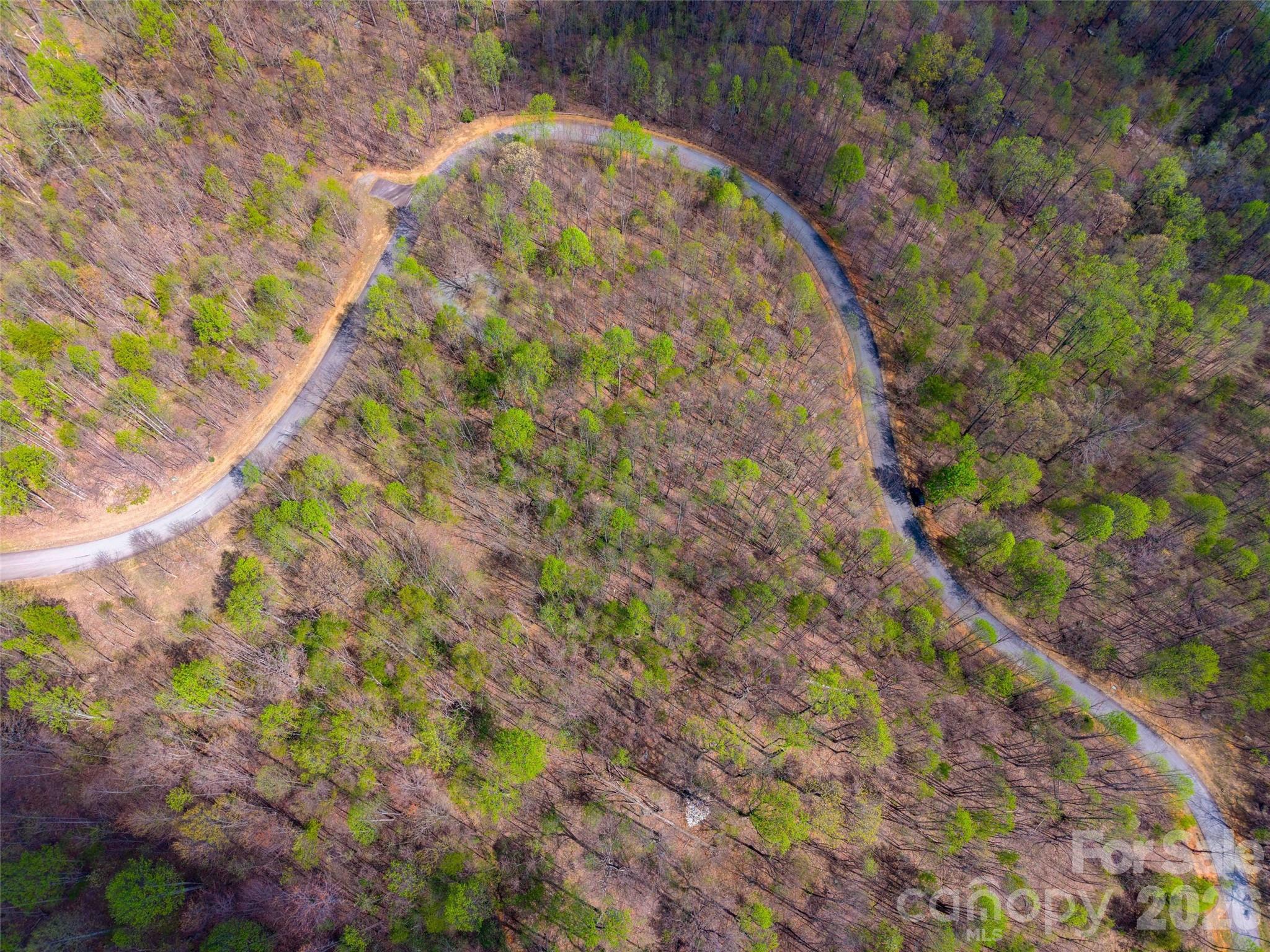 Lot 196 Cherry Hill Mill Spring, Unit 196 Mill Spring, NC 28756 - Photo 13 of 18