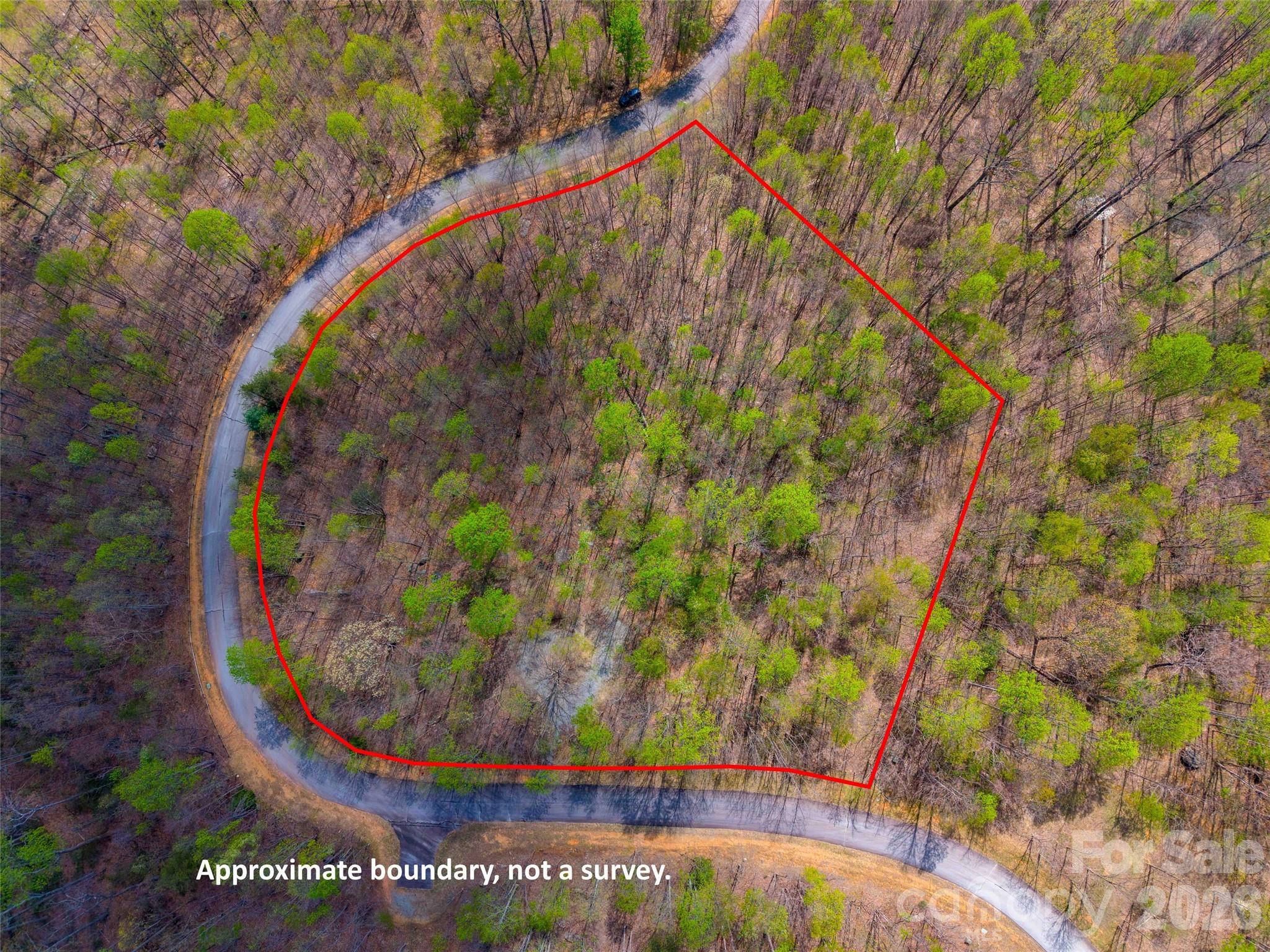 Lot 196 Cherry Hill Mill Spring, Unit 196 Mill Spring, NC 28756 - Photo 14 of 18
