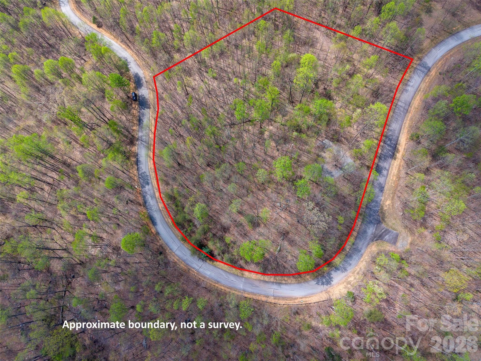 Lot 196 Cherry Hill Mill Spring, Unit 196 Mill Spring, NC 28756 - Photo 16 of 18