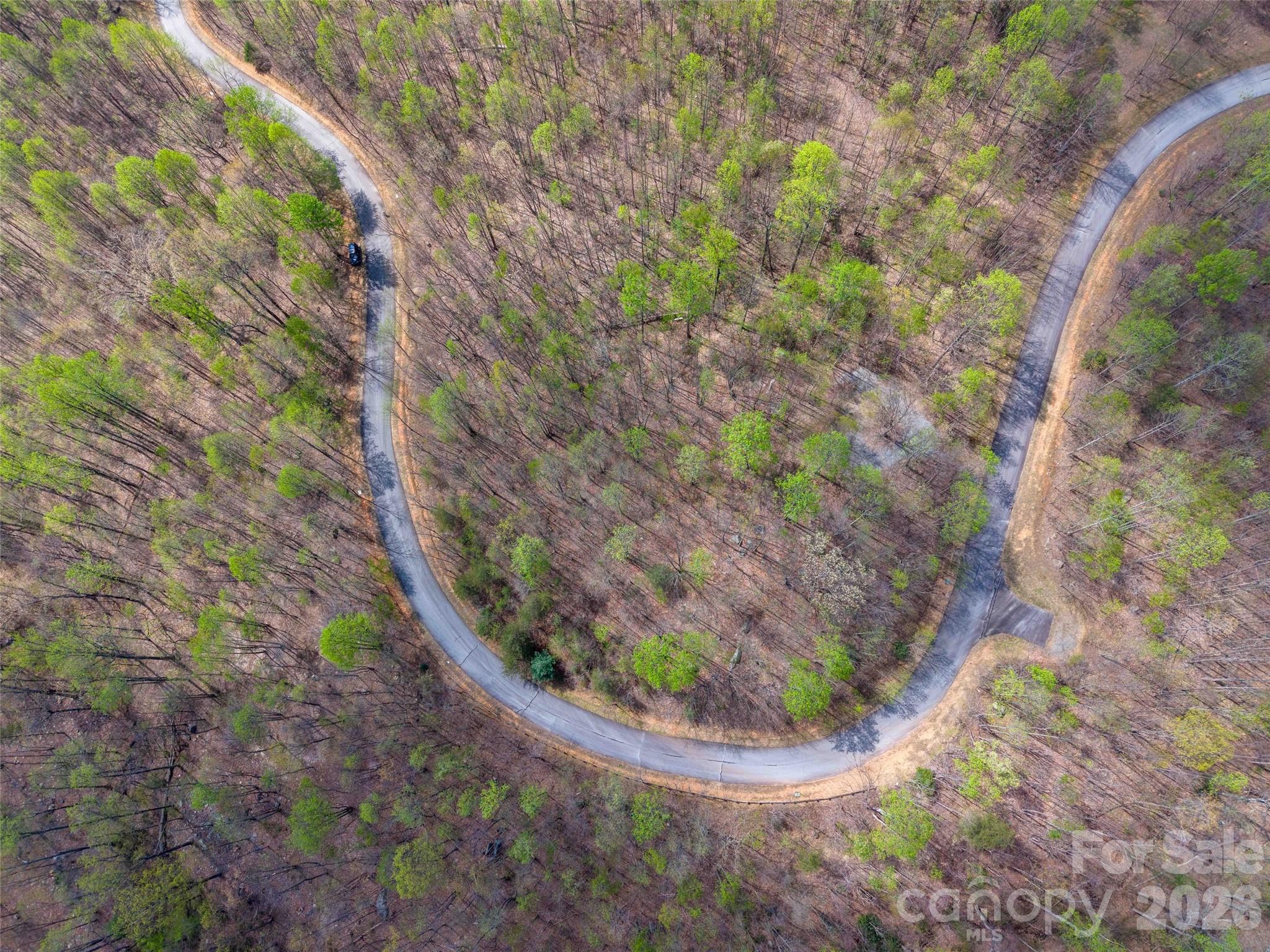 Lot 196 Cherry Hill Mill Spring, Unit 196 Mill Spring, NC 28756 - Photo 17 of 18