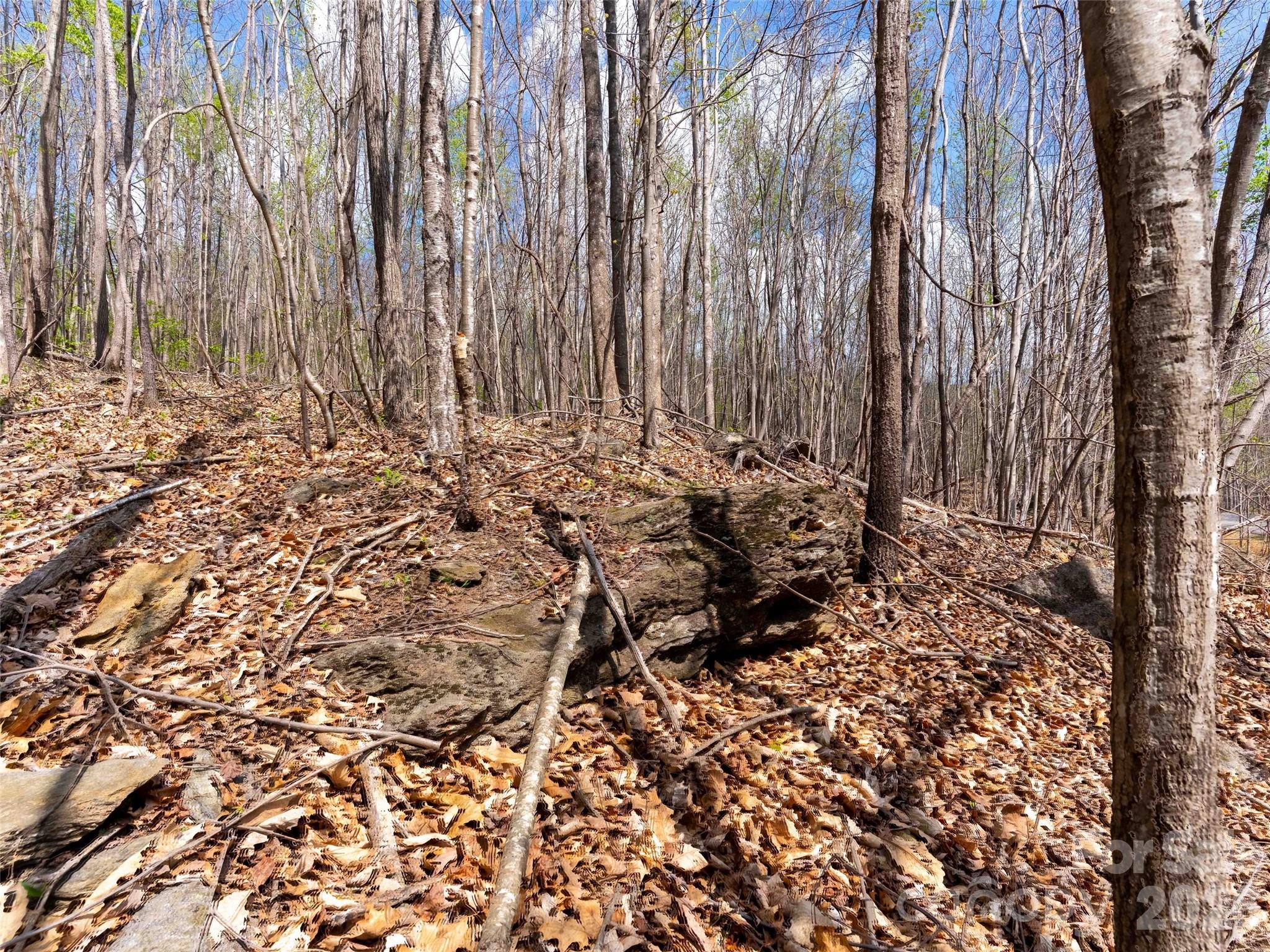 Lot 196 Cherry Hill Mill Spring, Unit 196 Mill Spring, NC 28756 - Photo 2 of 18