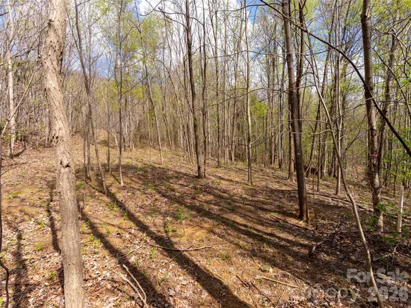$95,000 | Lot 196 Cherry Hill Mill Spring, Unit 196, Mill Spring, NC 28756