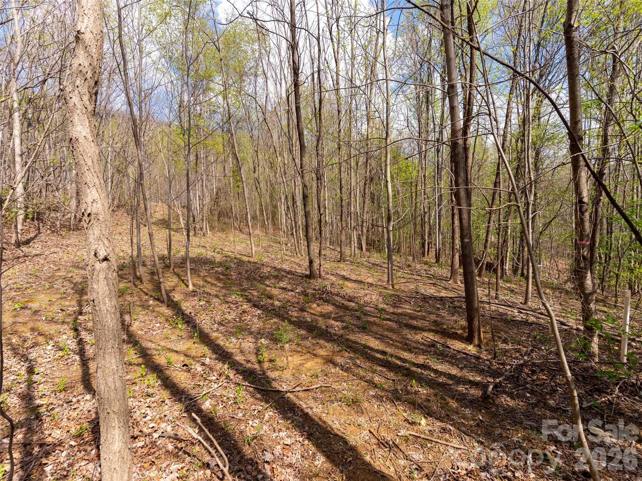 Lot 196 Cherry Hill Mill Spring, Unit 196 Mill Spring, NC 28756 - Photo 4 of 18