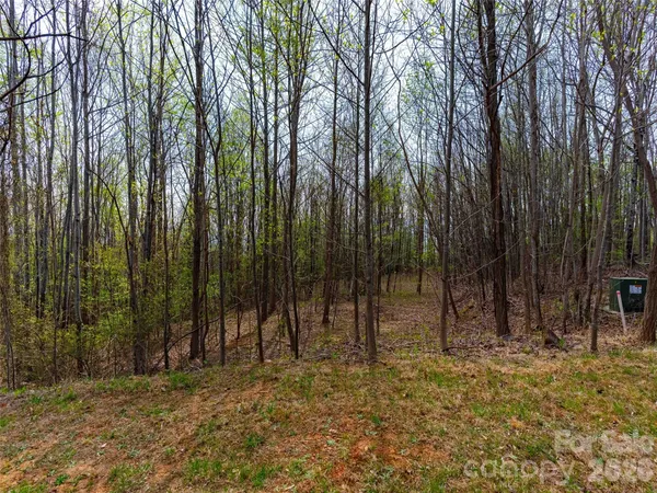 $95,000 | Lot 196 Cherry Hill Mill Spring, Unit 196, Mill Spring, NC 28756