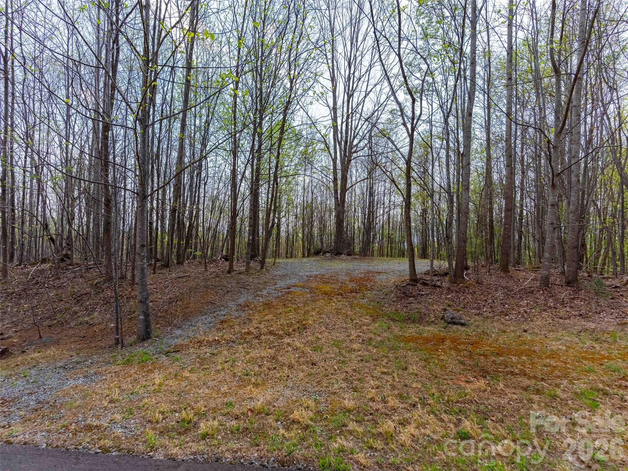 Lot 196 Cherry Hill Mill Spring, Unit 196 Mill Spring, NC 28756 - Photo 6 of 18