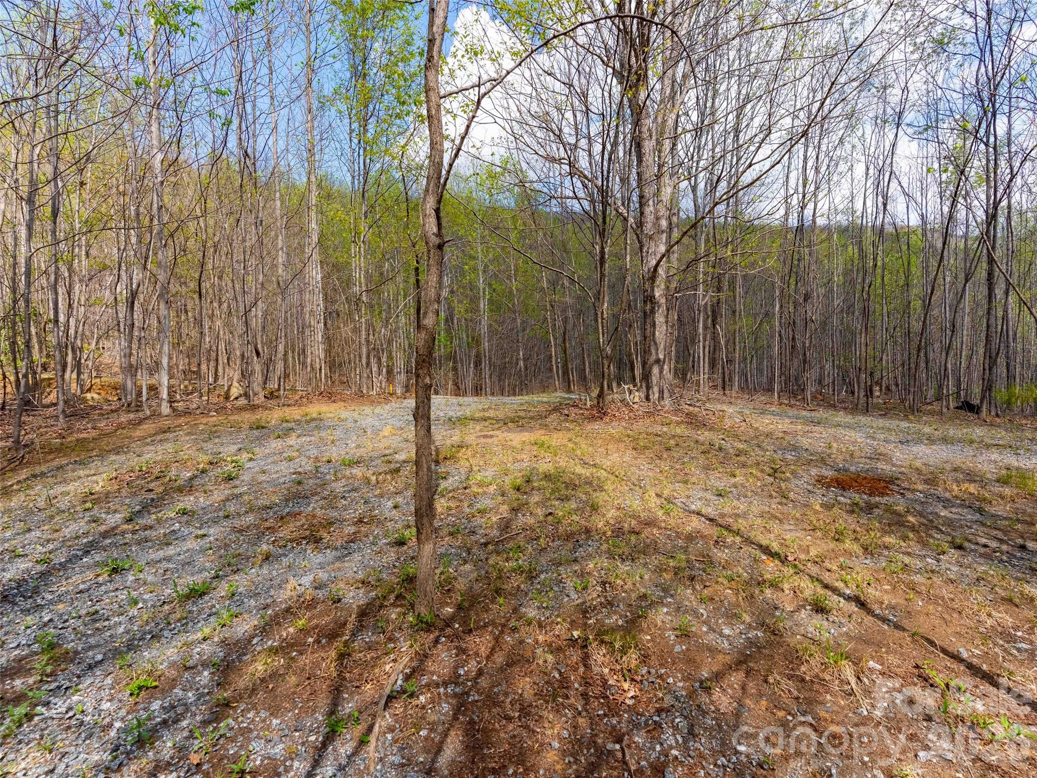 Lot 196 Cherry Hill Mill Spring, Unit 196 Mill Spring, NC 28756 - Photo 7 of 18