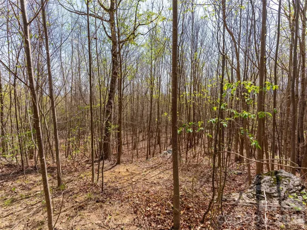 $95,000 | Lot 196 Cherry Hill Mill Spring, Unit 196, Mill Spring, NC 28756