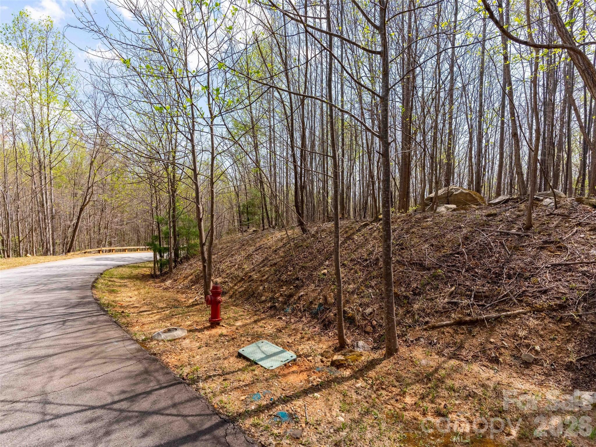 Lot 196 Cherry Hill Mill Spring, Unit 196 Mill Spring, NC 28756 - Photo 9 of 18