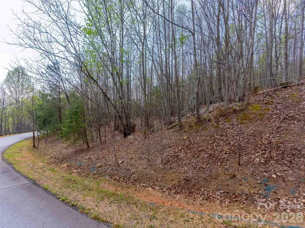 $95,000 | Lot 196 Cherry Hill Mill Spring, Unit 196, Mill Spring, NC 28756