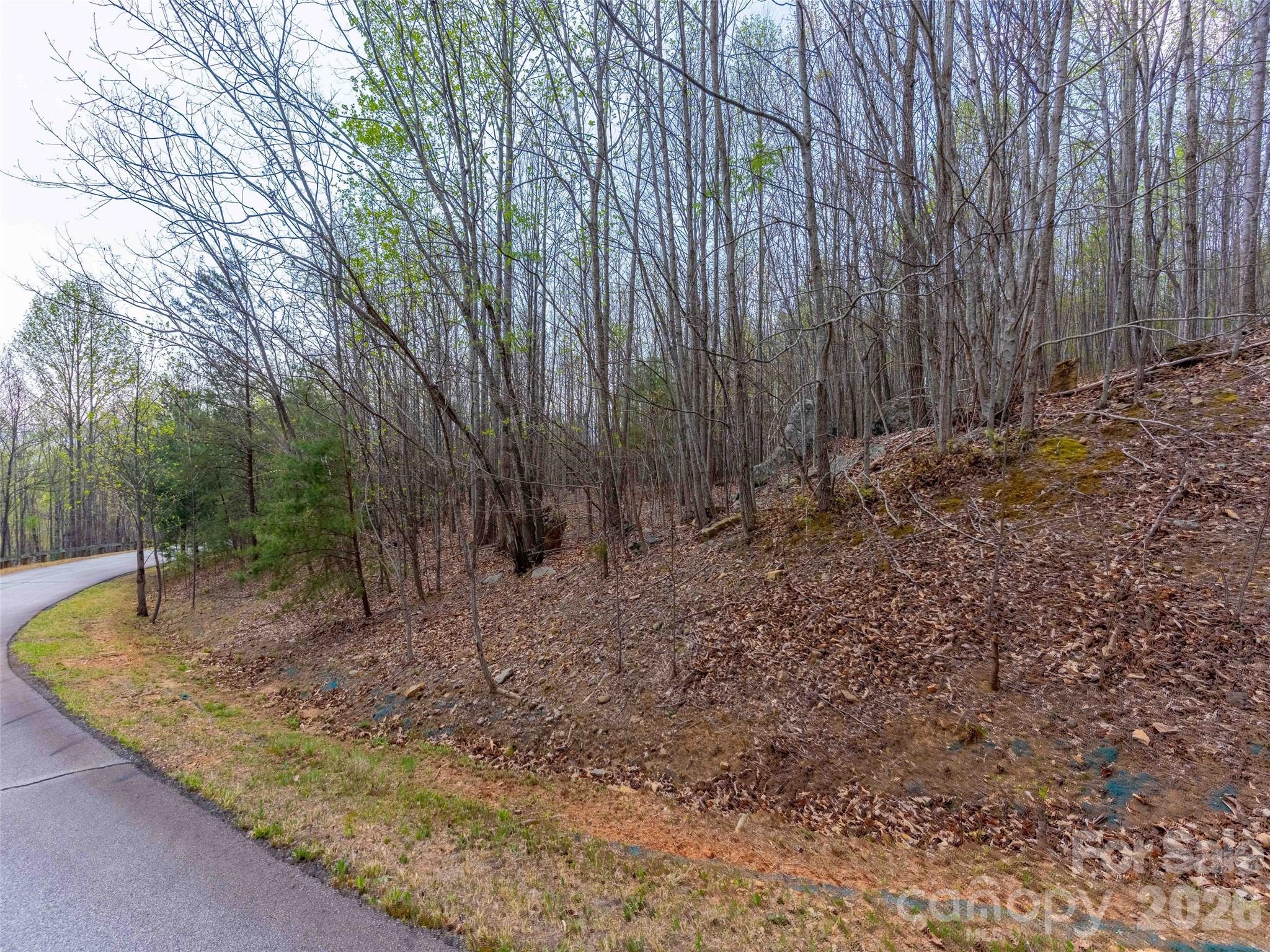 Lot 196 Cherry Hill Mill Spring, Unit 196 Mill Spring, NC 28756 - Photo 10 of 18