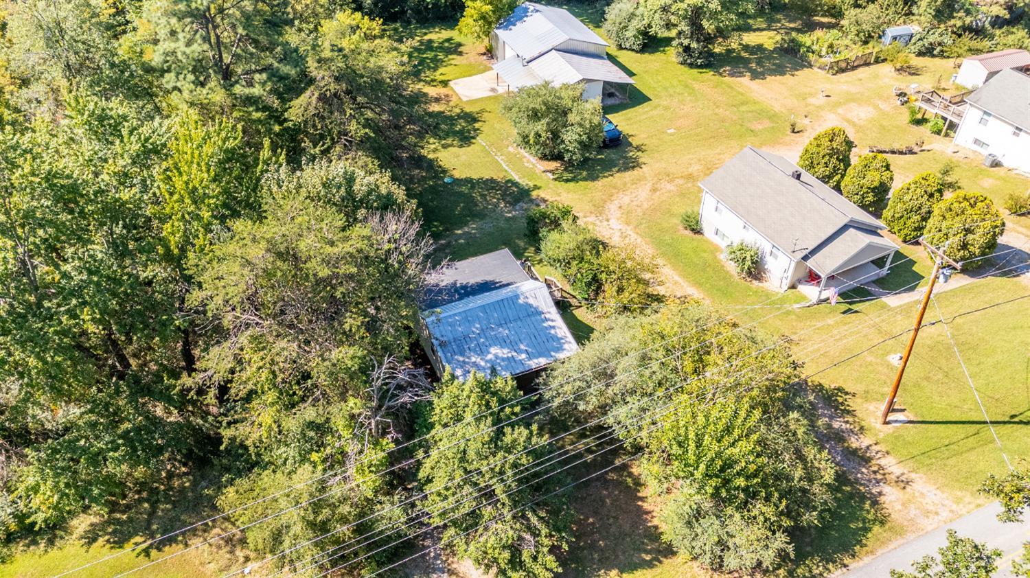 3660 Depot Road Rustburg, VA 24588 - Photo 31 of 36 a view of a yard with plants and large trees