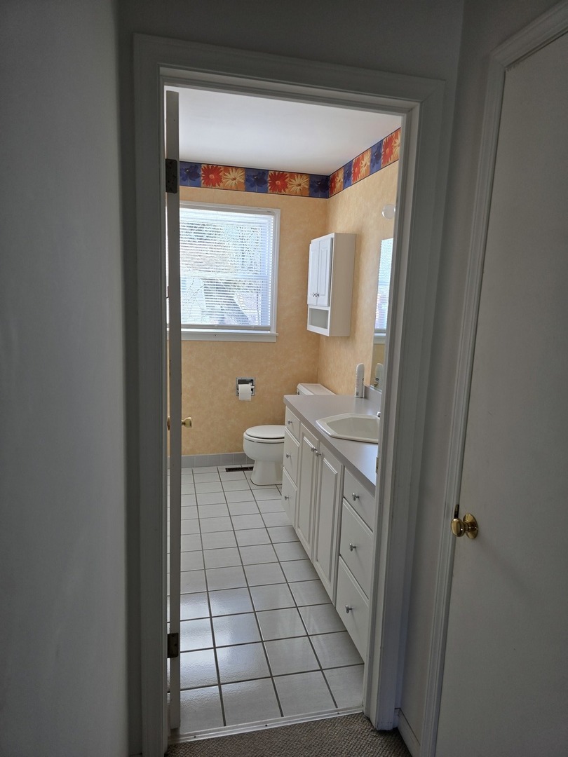 827 South McKinley Avenue Kankakee, IL 60901 - Photo 19 of 30 a bathroom with a sink toilet and window