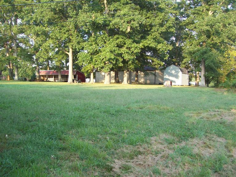 300 Ridings Mitchell Creek Road London, KY 40741 - Photo 2 of 11 Back yard and storage building.