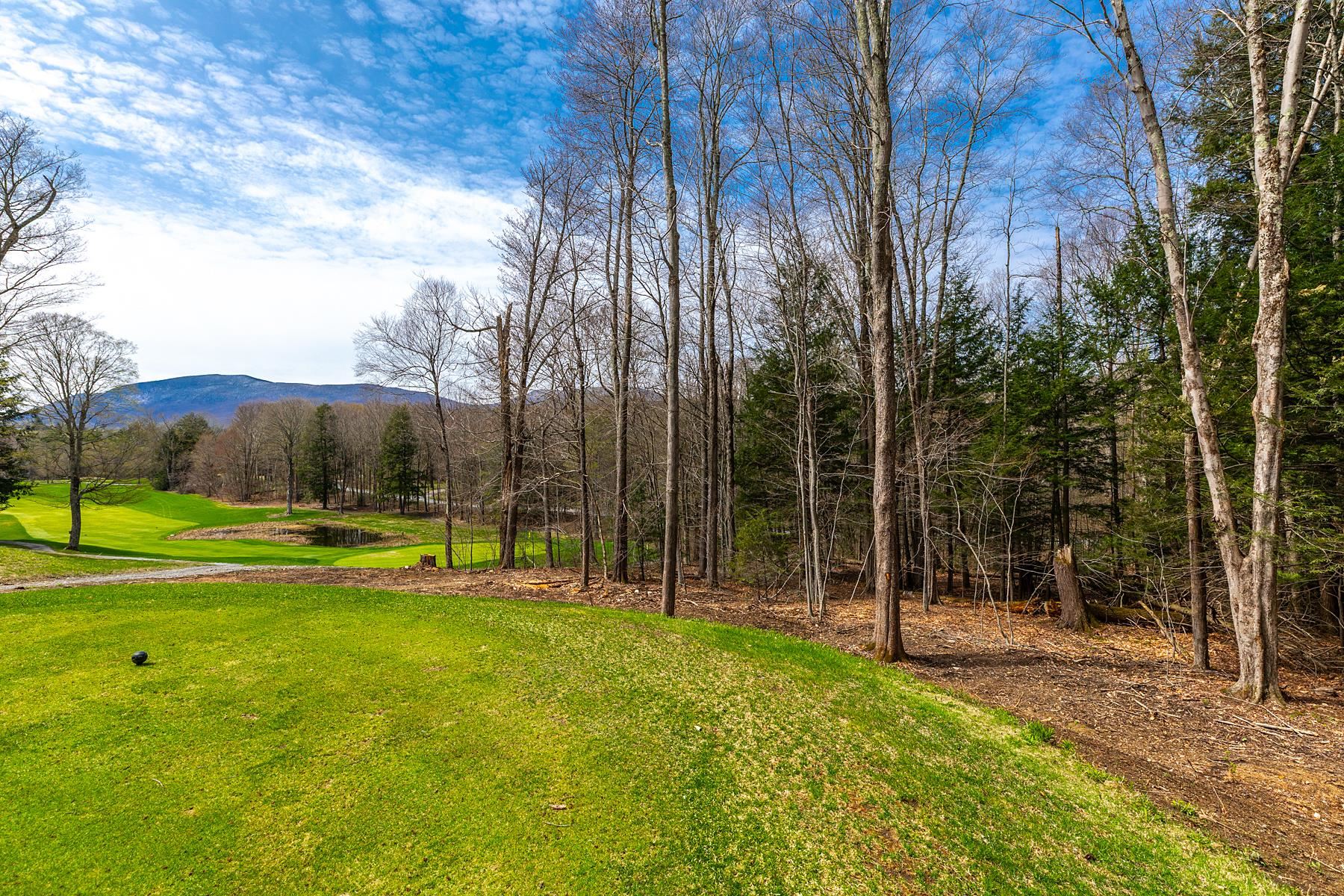 530 Finbars Forest Road Manchester, VT 05255 - Photo 4 of 6