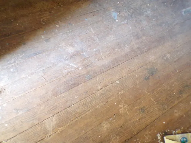 a bathroom with a toilet