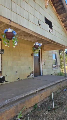 a view of backyard with a potted plant