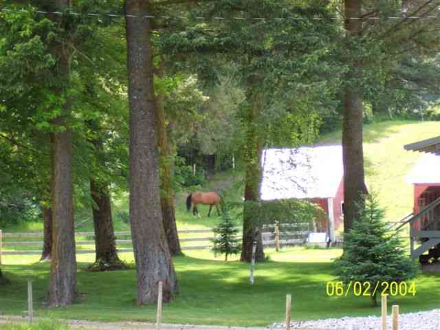 1652 Addy-Gifford Road Addy, WA 99101 - Photo 7 of 8