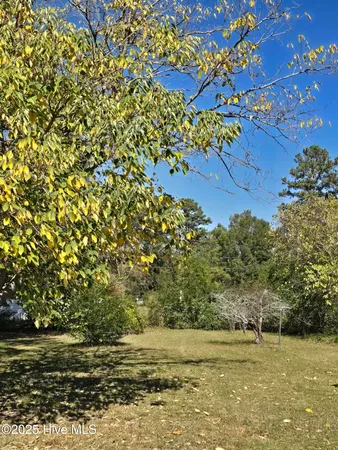 $125,000 | 607 East 9th Street, Scotland Neck, NC 27874