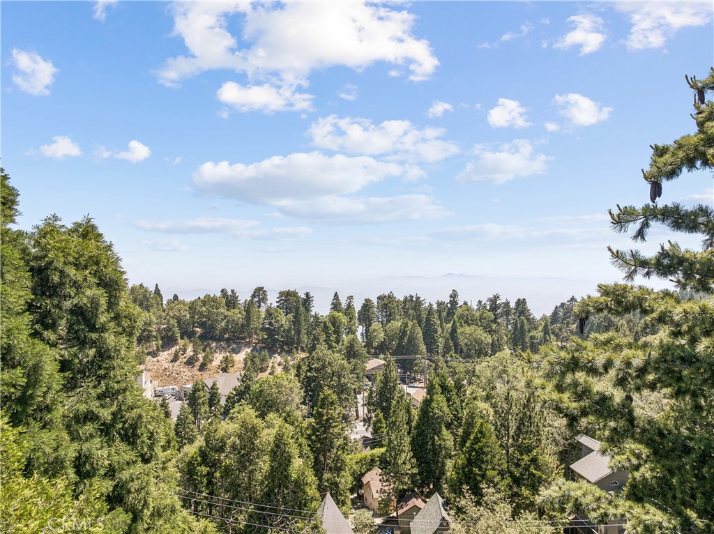 26631 Valley View Drive Rimforest, CA 92378 - Photo 31 of 38