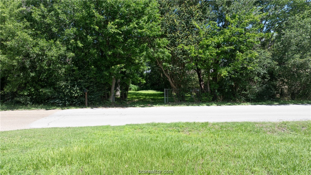 142 Watson Lane Bryan, TX 77801 - Photo 4 of 19