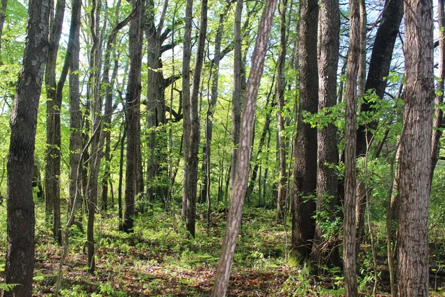 $70,000 | 104th Avenue, Allegan, MI 49010