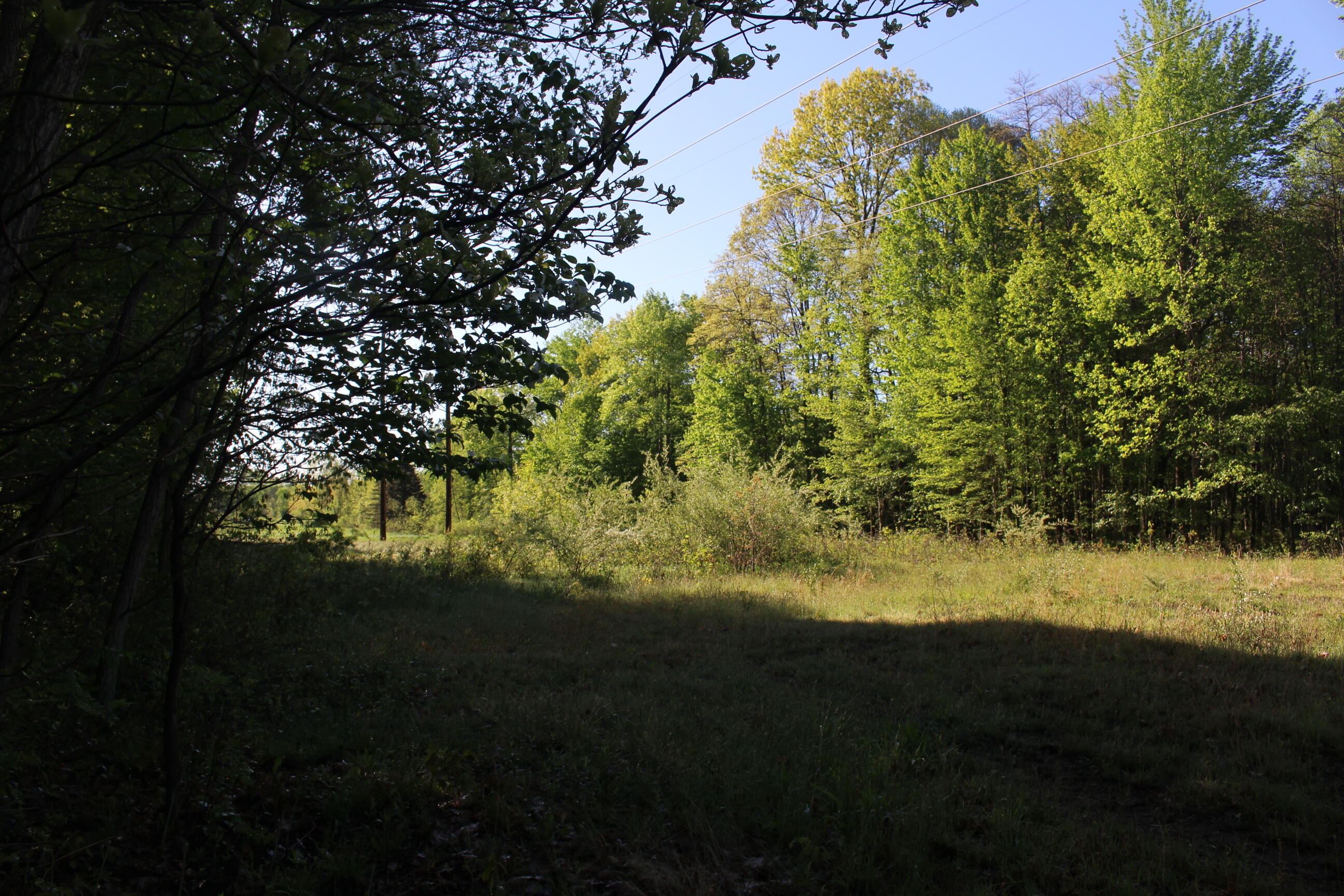 104th Avenue Allegan, MI 49010 - Photo 5 of 11 IMG_6702